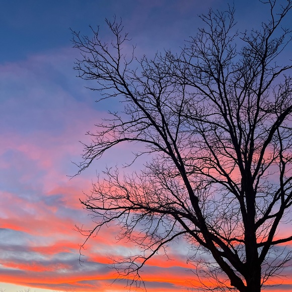 Meet your Posher, Selena - Picture 1 of 1